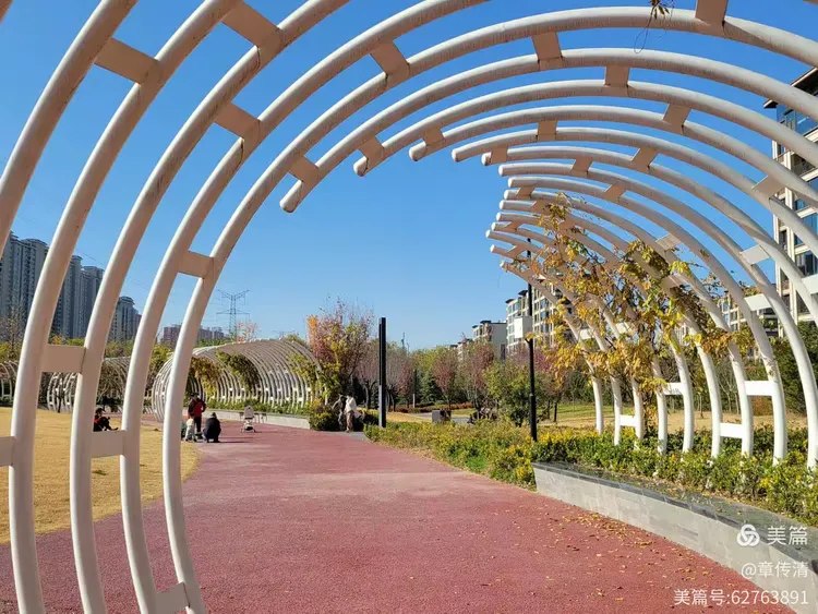 冬游曲江花影公园